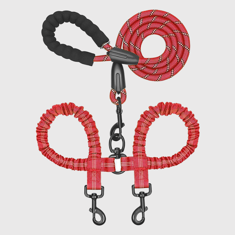 Laisse Double Anti-Enchevêtrement Nylon Gros Chien