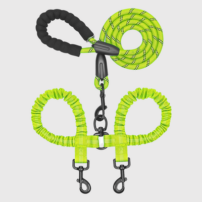 https://cdn.shopify.com/s/files/1/0763/9767/4819/files/Laisse_double_pour_chien_vert.png?v=1749049399