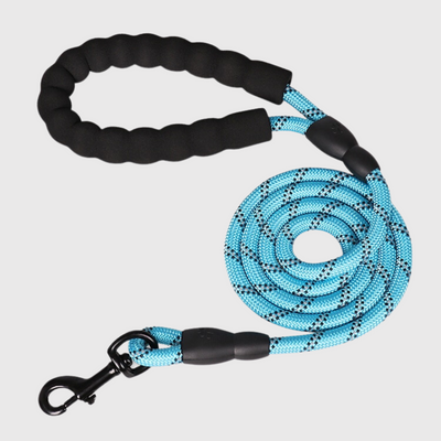https://cdn.shopify.com/s/files/1/0763/9767/4819/files/Laisse_educative_pour_chien_qui_tire_bleu.png?v=1743777737