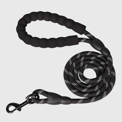 https://cdn.shopify.com/s/files/1/0763/9767/4819/files/Laisse_educative_pour_chien_qui_tire_noir.png?v=1743777737