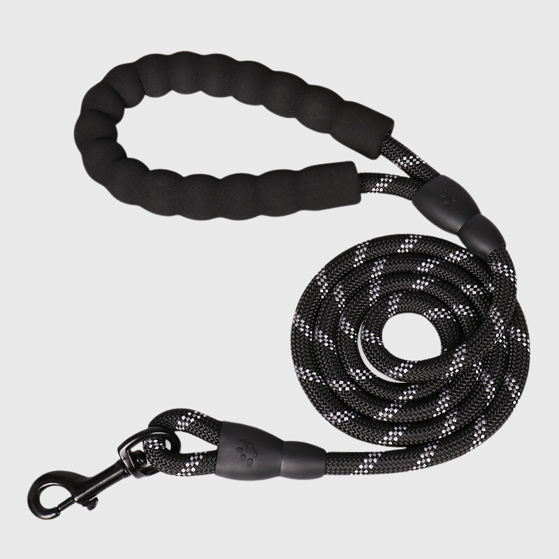 Laisse Éducative Anti-Traction Gros Chien