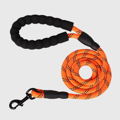 https://cdn.shopify.com/s/files/1/0763/9767/4819/files/Laisse_educative_pour_chien_qui_tire_orange.png?v=1743777737