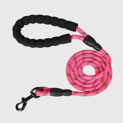 https://cdn.shopify.com/s/files/1/0763/9767/4819/files/Laisse_educative_pour_chien_qui_tire_rose.png?v=1743777737