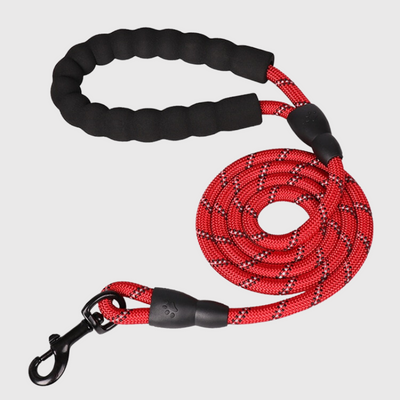 https://cdn.shopify.com/s/files/1/0763/9767/4819/files/Laisse_educative_pour_chien_qui_tire_rouge.png?v=1743777737