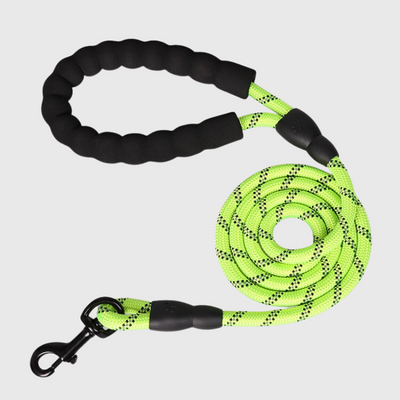 https://cdn.shopify.com/s/files/1/0763/9767/4819/files/Laisse_educative_pour_chien_qui_tire_verte.png?v=1743777737