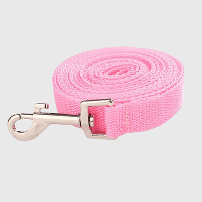https://cdn.shopify.com/s/files/1/0763/9767/4819/files/Laisse_en_Nylon_pour_chien.png?v=1728402392