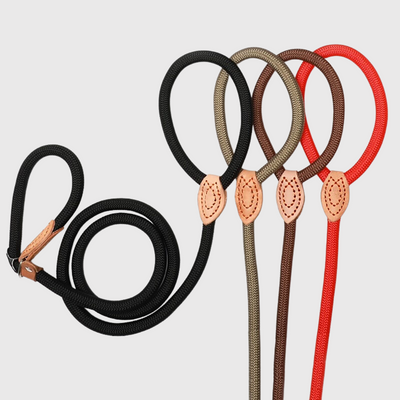 https://cdn.shopify.com/s/files/1/0763/9767/4819/files/Laisse_lasso_pour_chien_4_couleurs.png?v=1749047340