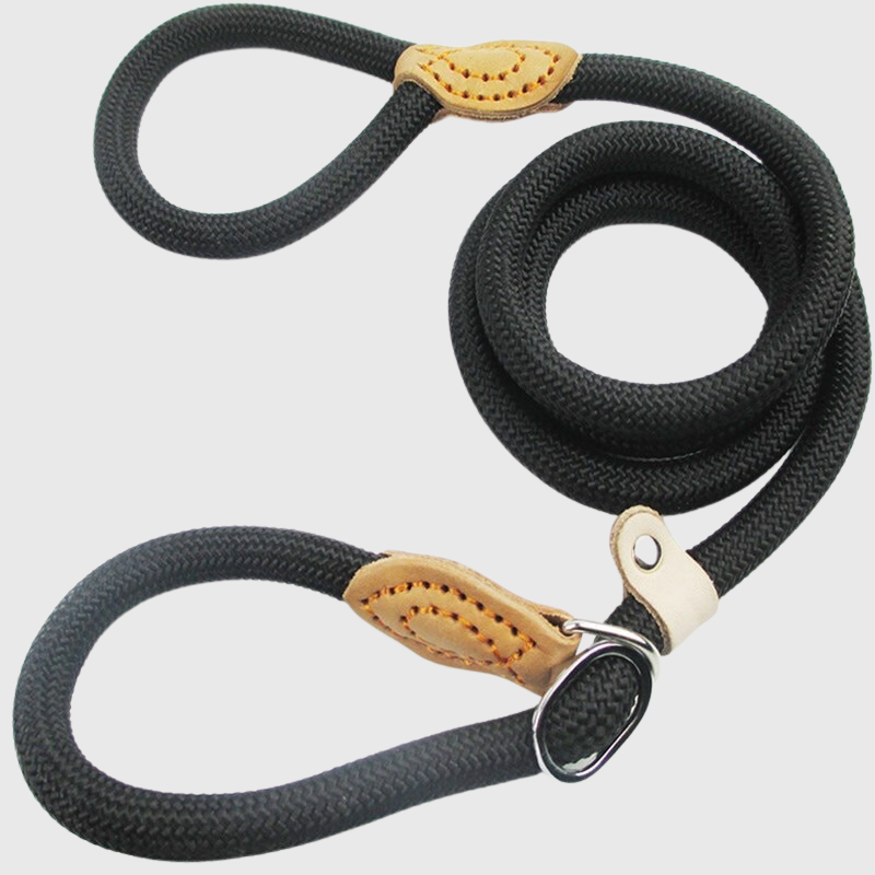 Laisse Lasso Réglable Cuir Gros Chien