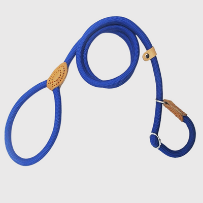 https://cdn.shopify.com/s/files/1/0763/9767/4819/files/Laisse_lasso_pour_chien_bleu.png?v=1749047340