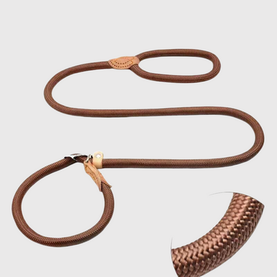 https://cdn.shopify.com/s/files/1/0763/9767/4819/files/Laisse_lasso_pour_chien_cordage.png?v=1749047340