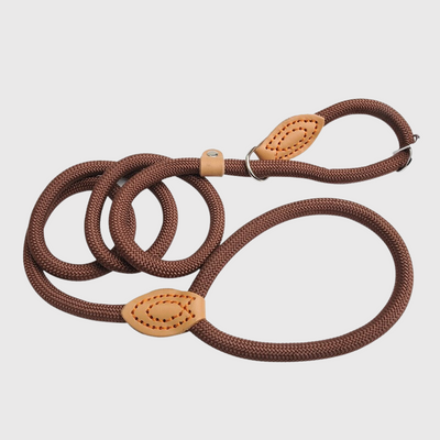 https://cdn.shopify.com/s/files/1/0763/9767/4819/files/Laisse_lasso_pour_chien_marron.png?v=1749047340