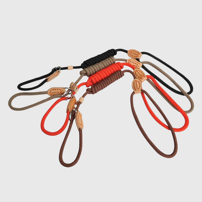 https://cdn.shopify.com/s/files/1/0763/9767/4819/files/Laisse_lasso_pour_chien_modele_expo.png?v=1749047340