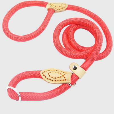 https://cdn.shopify.com/s/files/1/0763/9767/4819/files/Laisse_lasso_pour_chien_rouge.png?v=1749047340