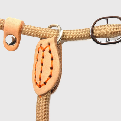 https://cdn.shopify.com/s/files/1/0763/9767/4819/files/Laisse_lasso_pour_chien_zoom.png?v=1749047340