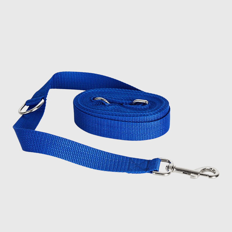 https://cdn.shopify.com/s/files/1/0763/9767/4819/files/Laisse_longe_pour_chien_bleu.png?v=1696945446