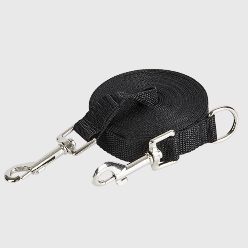 https://cdn.shopify.com/s/files/1/0763/9767/4819/files/Laisse_longe_pour_chien_bleu.png?v=1696945446