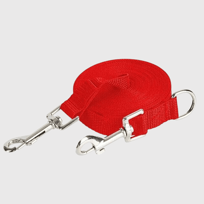 https://cdn.shopify.com/s/files/1/0763/9767/4819/files/Laisse_longe_pour_chien_rouge.png?v=1696945446