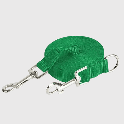https://cdn.shopify.com/s/files/1/0763/9767/4819/files/Laisse_longe_pour_chien_vert.png?v=1696945447