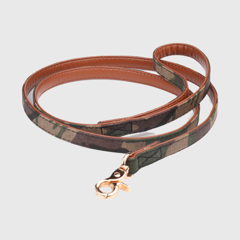Laisse Tactique Militaire Gros Chien 1,2m