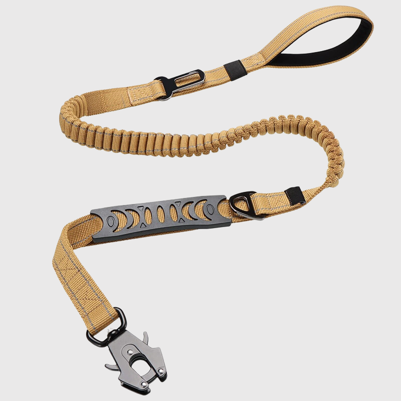 Laisse Élastique Gros Chien Bungee 1,9m