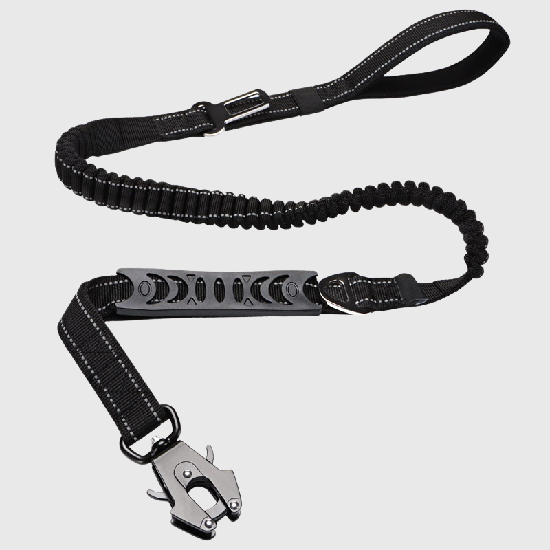 Laisse Élastique Gros Chien Bungee 1,9m