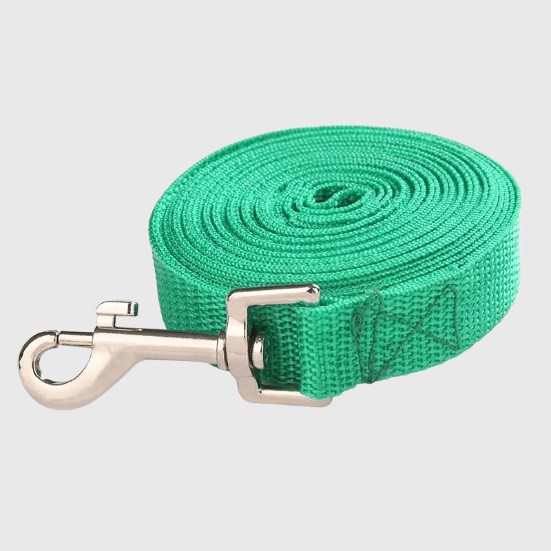 https://cdn.shopify.com/s/files/1/0763/9767/4819/files/Laisse_pour_chien_longue.png?v=1728401370