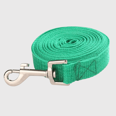 https://cdn.shopify.com/s/files/1/0763/9767/4819/files/Laisse_pour_chien_longue.png?v=1728401370