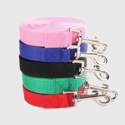 https://cdn.shopify.com/s/files/1/0763/9767/4819/files/Laisse_pour_chien_longue_zoom.png?v=1728401444