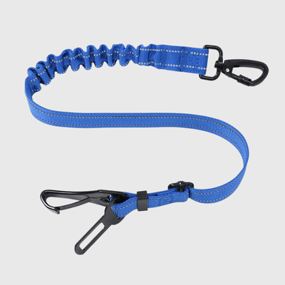 https://cdn.shopify.com/s/files/1/0763/9767/4819/files/Laisse_pour_voiture_pour_chien_bleu.png?v=1749049782