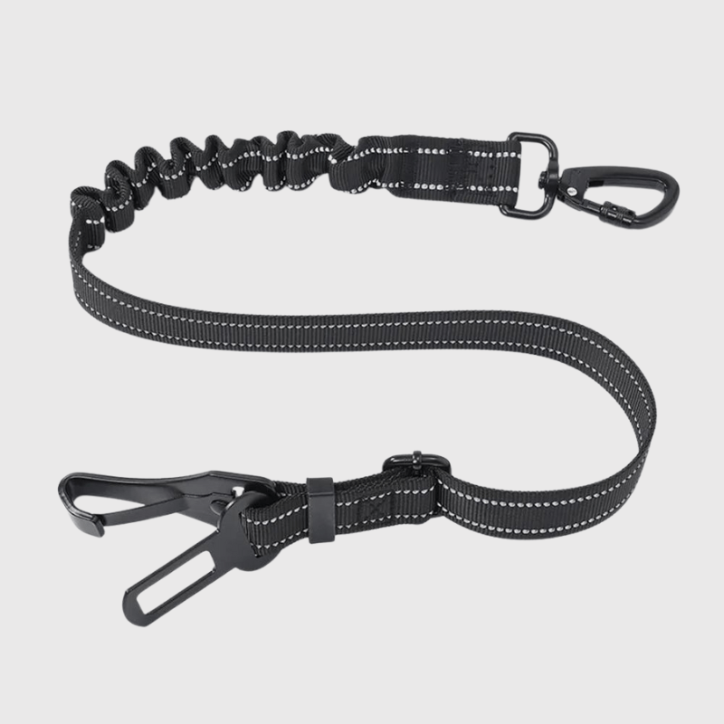 https://cdn.shopify.com/s/files/1/0763/9767/4819/files/Laisse_pour_voiture_pour_chien_noir.png?v=1749049782