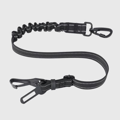 https://cdn.shopify.com/s/files/1/0763/9767/4819/files/Laisse_pour_voiture_pour_chien_noir.png?v=1749049782