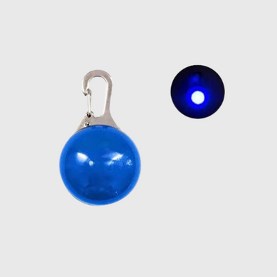https://cdn.shopify.com/s/files/1/0763/9767/4819/files/Lampe_Led_pour_collier_de_chien_bleu.png?v=1745314372