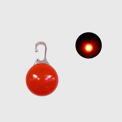 https://cdn.shopify.com/s/files/1/0763/9767/4819/files/Lampe_Led_pour_collier_de_chien_rouge.png?v=1745314372