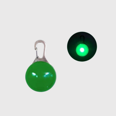 https://cdn.shopify.com/s/files/1/0763/9767/4819/files/Lampe_Led_pour_collier_de_chien_verte.png?v=1745314372