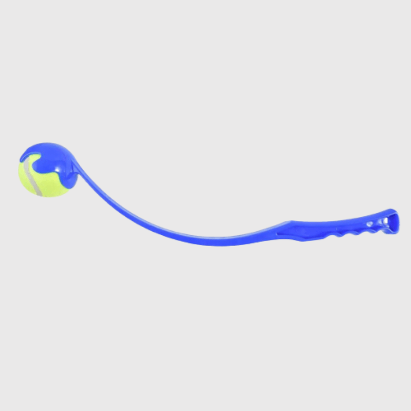 https://cdn.shopify.com/s/files/1/0763/9767/4819/files/Lanceur_de_balle_pour_chien_Bleu_Fonce_labrador.png?v=1756030210