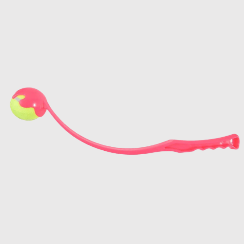 https://cdn.shopify.com/s/files/1/0763/9767/4819/files/Lanceur_de_balle_pour_chien_Rose_chiot.png?v=1756030612