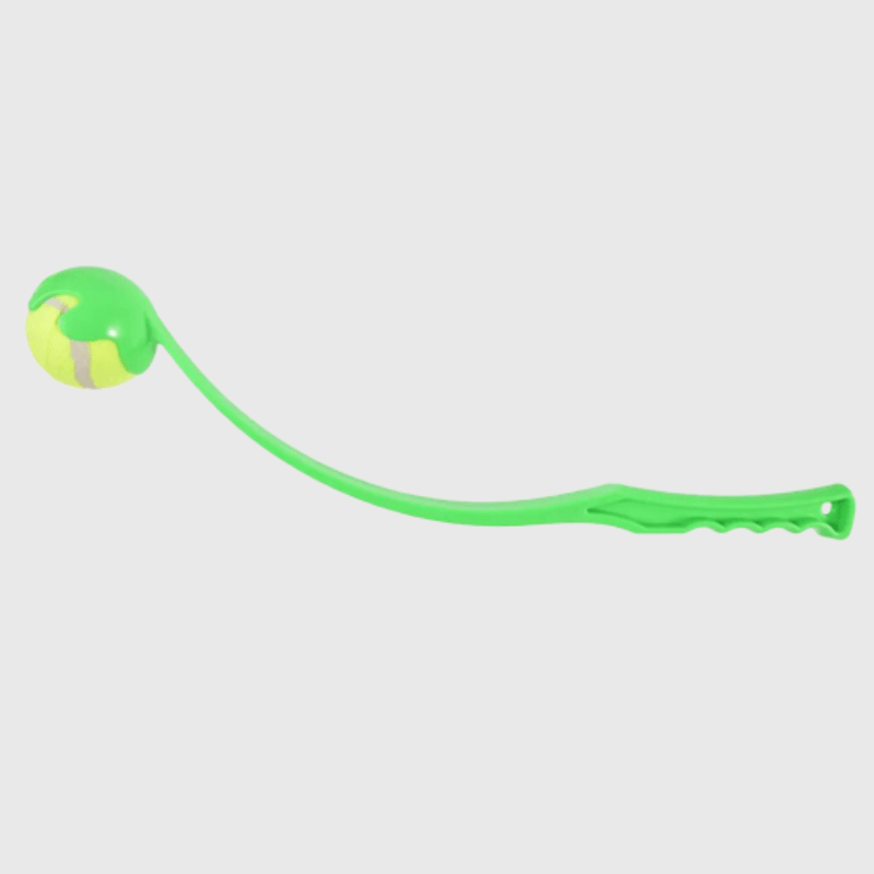 https://cdn.shopify.com/s/files/1/0763/9767/4819/files/Lanceur_de_balle_pour_chien_vert_chiot.png?v=1756029841