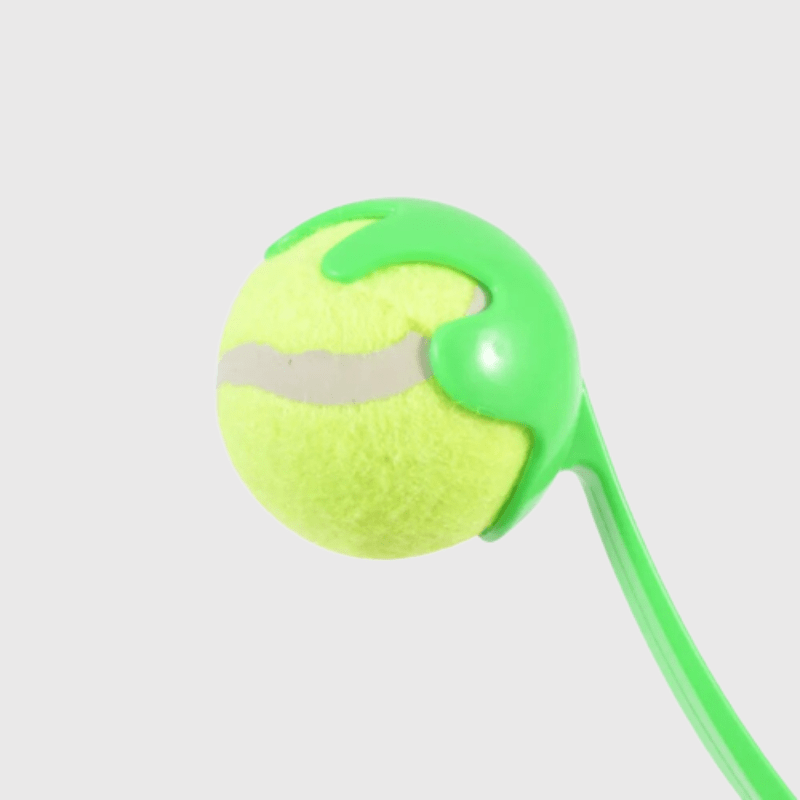 https://cdn.shopify.com/s/files/1/0763/9767/4819/files/Lanceur_de_balle_pour_chien_Vert_zoom_sur_la_balle.png?v=1756029634