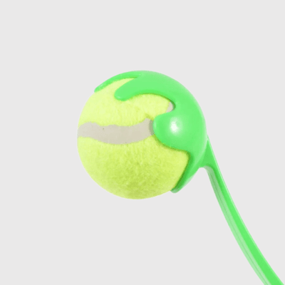 https://cdn.shopify.com/s/files/1/0763/9767/4819/files/Lanceur_de_balle_pour_chien_Vert_zoom_sur_la_balle.png?v=1756029634