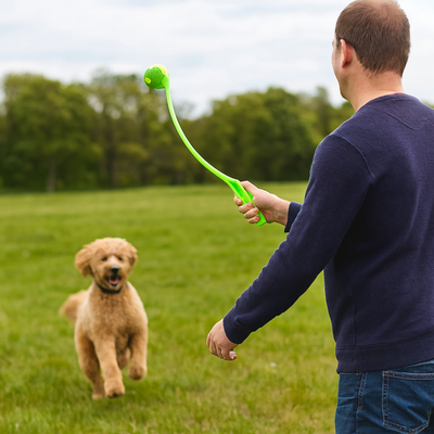 https://cdn.shopify.com/s/files/1/0763/9767/4819/files/Lanceur_de_balle_pour_chien_vert_chiot.png?v=1756029841