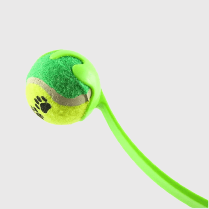 https://cdn.shopify.com/s/files/1/0763/9767/4819/files/Lanceur_de_balle_pour_chien_vert_clai_avec_zoom_sur_la_balle.png?v=1756029769