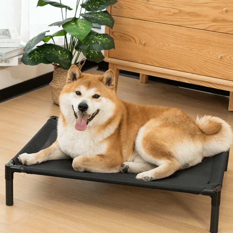 https://cdn.shopify.com/s/files/1/0763/9767/4819/files/Lit_de_camp_pour_chien.png?v=1729615345
