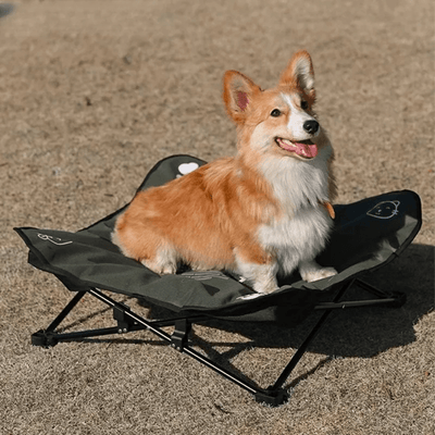 https://cdn.shopify.com/s/files/1/0763/9767/4819/files/Lit_de_camp_relax_pour_chien_assis.png?v=1747660002