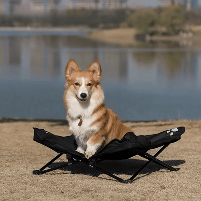https://cdn.shopify.com/s/files/1/0763/9767/4819/files/Lit_de_camp_relax_pour_chien_corgi.png?v=1747660002