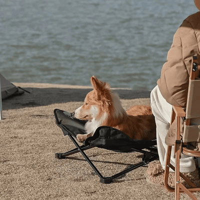 https://cdn.shopify.com/s/files/1/0763/9767/4819/files/Lit_de_camp_relax_pour_chien_corgi_plage.png?v=1747660002