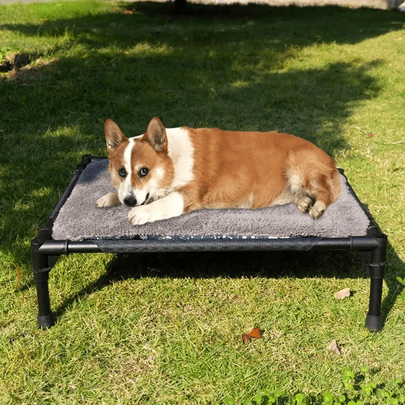 https://cdn.shopify.com/s/files/1/0763/9767/4819/files/Lit_de_camping_pour_chien_corgi.png?v=1747660246