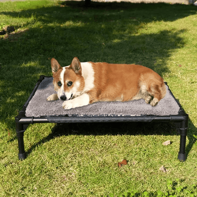 https://cdn.shopify.com/s/files/1/0763/9767/4819/files/Lit_de_camping_pour_chien_corgi.png?v=1747660246