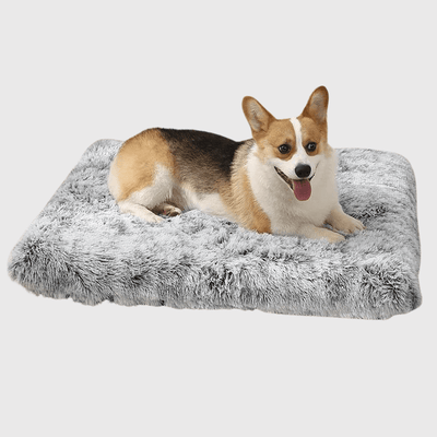 https://cdn.shopify.com/s/files/1/0763/9767/4819/files/Lit_pour_grand_chien_corgi.png?v=1748003951
