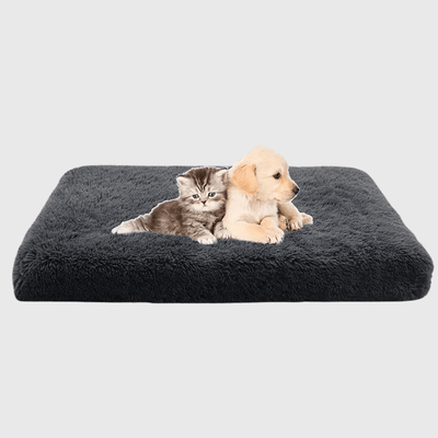 https://cdn.shopify.com/s/files/1/0763/9767/4819/files/Lit_pour_grand_chien_noir.png?v=1748003951