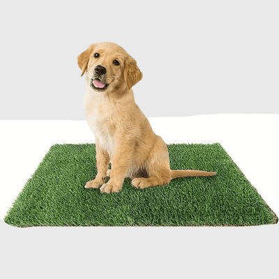https://cdn.shopify.com/s/files/1/0763/9767/4819/files/Litiere_pour_chien_appartement_chiot.png?v=1769011356